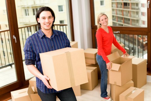 Browser settings showing cookie management options